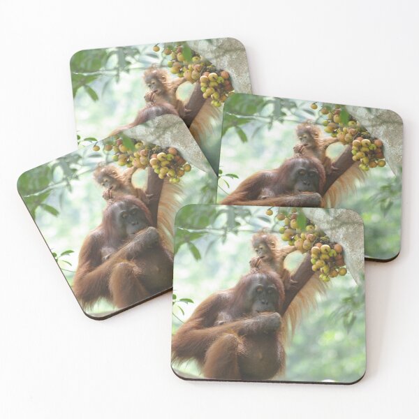 Item preview, Wild orangutan mother and child in Kalimantan designed and sold by charlienelson.