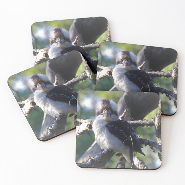Item preview, Fluffy Kookaburra designed and sold by Selah Images.