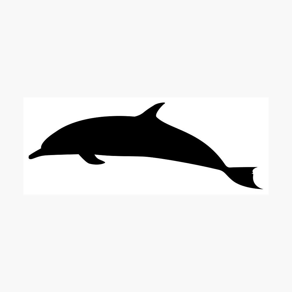 dolphin silhouette poster by lucid reality redbubble redbubble