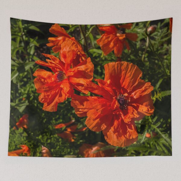 Item preview, Ruffled by the Wind - Silky Scarlet Poppies Bringing Summer Joy designed and sold by Georgia Mizuleva.