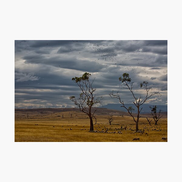Item preview, Australian summer sky designed and sold by Keith Midson.