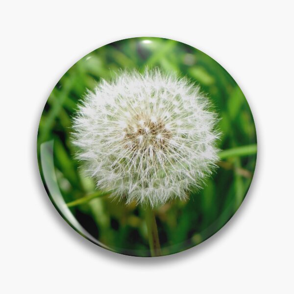 Item preview, Dandelion designed and sold by iamshweta.