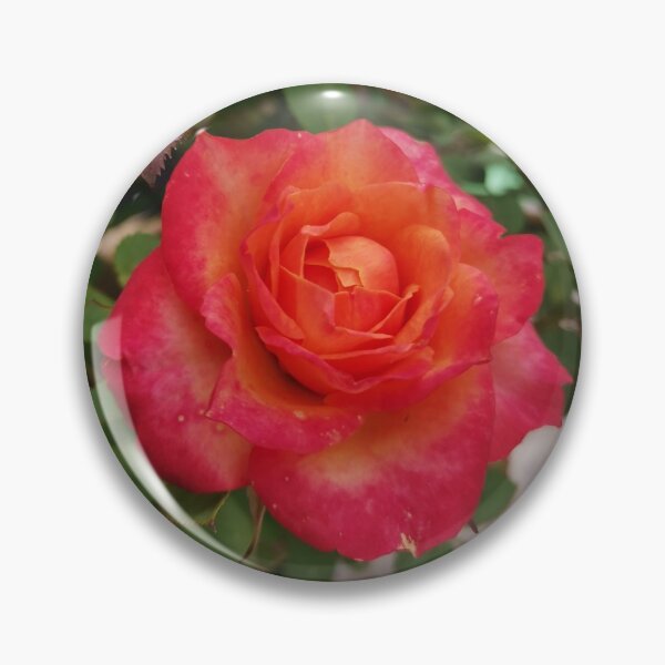 Item preview, Pretty Peach Rose designed and sold by Cloud-Zombie88.