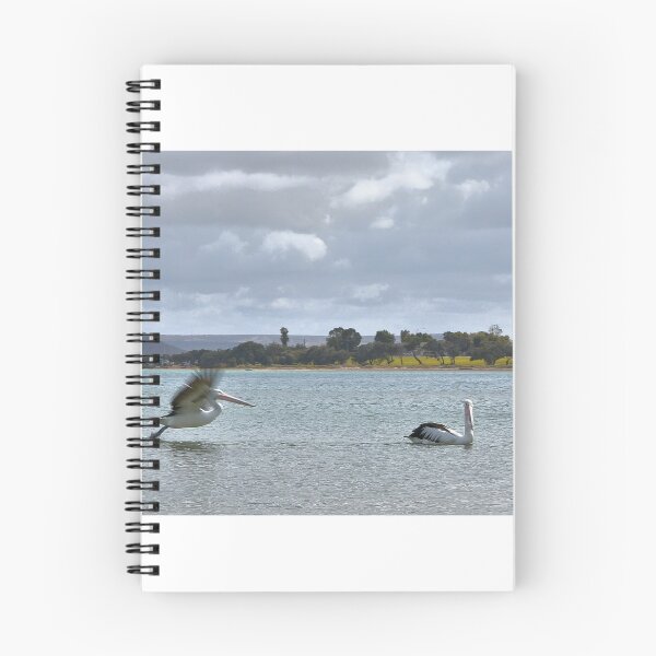 Item preview, Pelican Landing designed and sold by Caroline Scott.