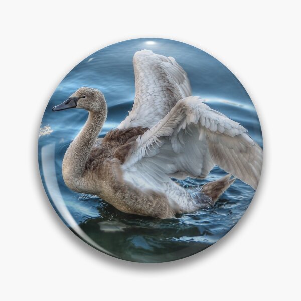 Item preview, Cygnet  designed and sold by Steve H Clark.