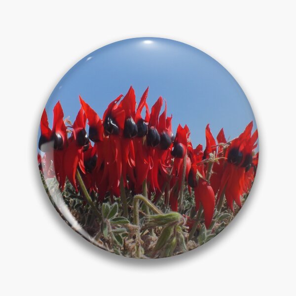 Item preview, Sturt Desert Pea designed and sold by Steve9.