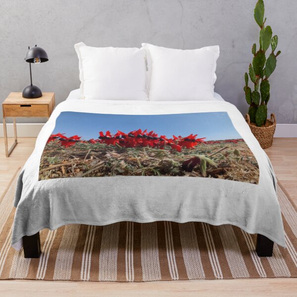 Item preview, Sturt Desert Pea designed and sold by Steve9.