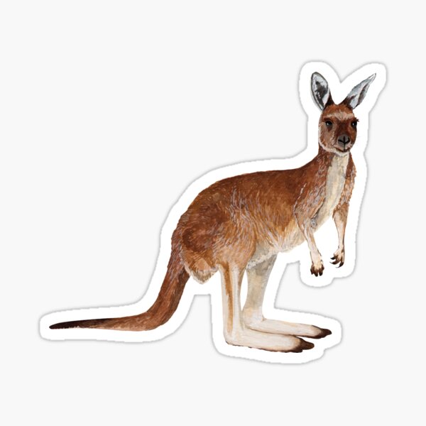 Item preview, KANGAROO designed and sold by BEATRIZ ABAITUA.
