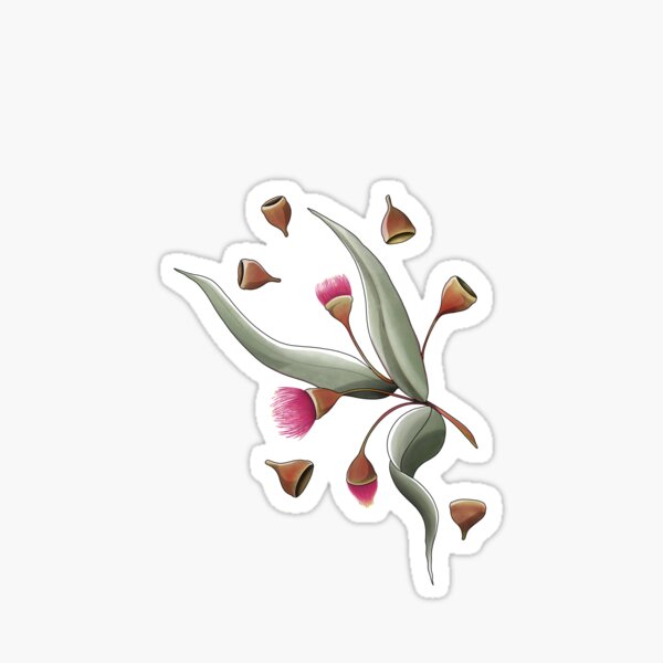 Item preview, Australian Floral Classic (Gumnuts) designed and sold by Leyabout.