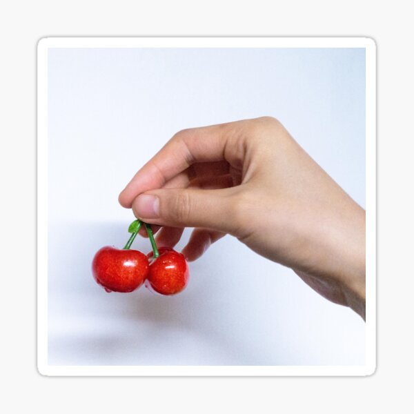 Red Cherry Pattern, Fabric, A Hand Holding Red Cherry. Sticker
