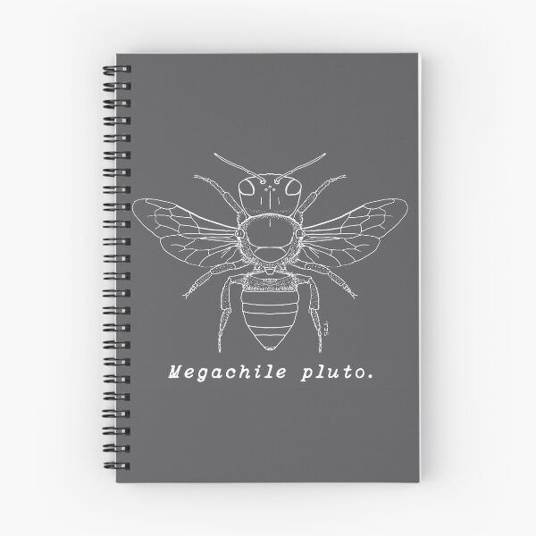 Item preview, Wallace's Giant Bee, Megachile pluto - White Print designed and sold by BeesScientific.