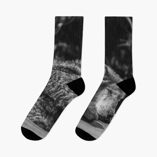 Item preview, Sleeping Grey Wolf In Black & White designed and sold by CClarkePhotos.