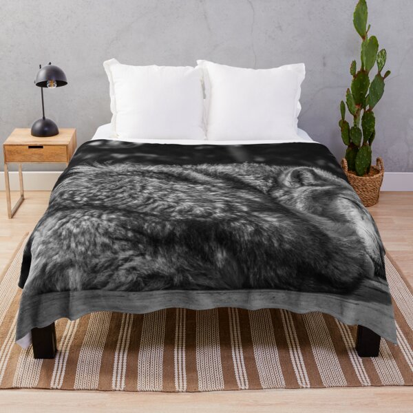 Item preview, Sleeping Grey Wolf In Black & White designed and sold by CClarkePhotos.