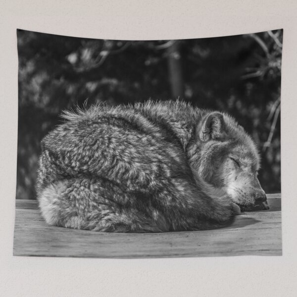Item preview, Sleeping Grey Wolf In Black & White designed and sold by CClarkePhotos.