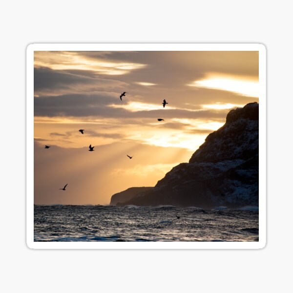 Winter Sunrise at Ravenscar Sticker