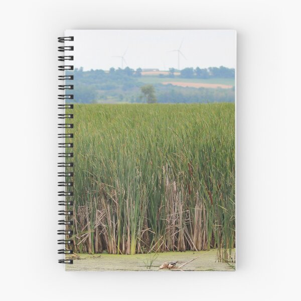 Item preview, Cattails designed and sold by Susie Kramer.