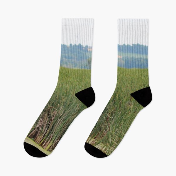 Item preview, Cattails designed and sold by Susie Kramer.