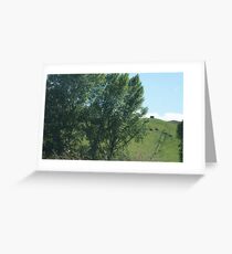 Trees Greeting Card