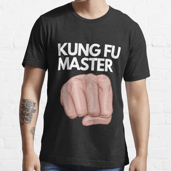 Kung fu fighter Kung fu master warrior 