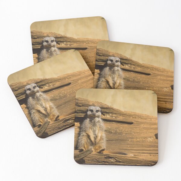 Item preview, Sunbathing Meercat designed and sold by CClarkePhotos.