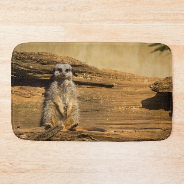 Item preview, Sunbathing Meercat designed and sold by CClarkePhotos.