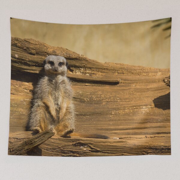 Item preview, Sunbathing Meercat designed and sold by CClarkePhotos.