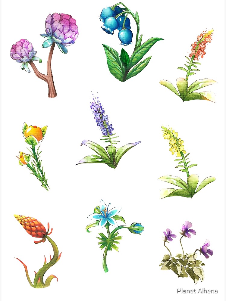 "BOTW flowers" Art Print for Sale by Redbubble