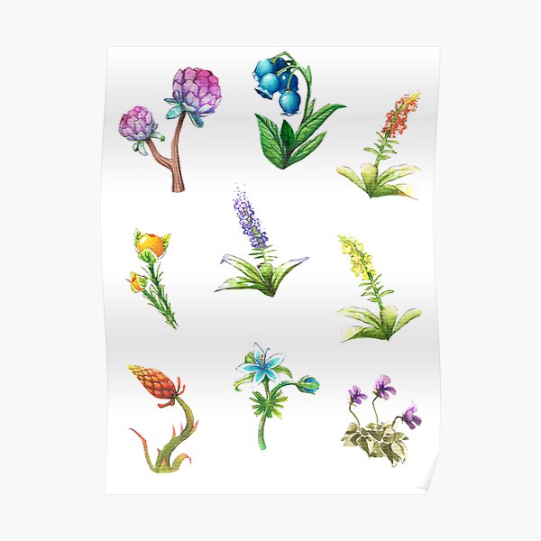 BOTW flowers Poster
