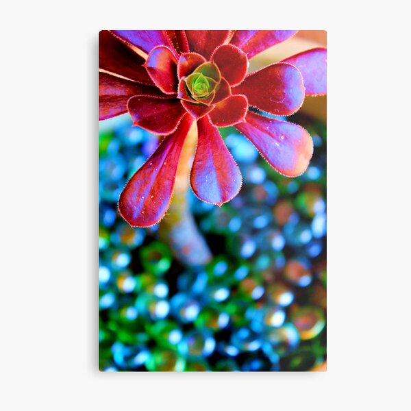 Spirit Fingers Metal Print