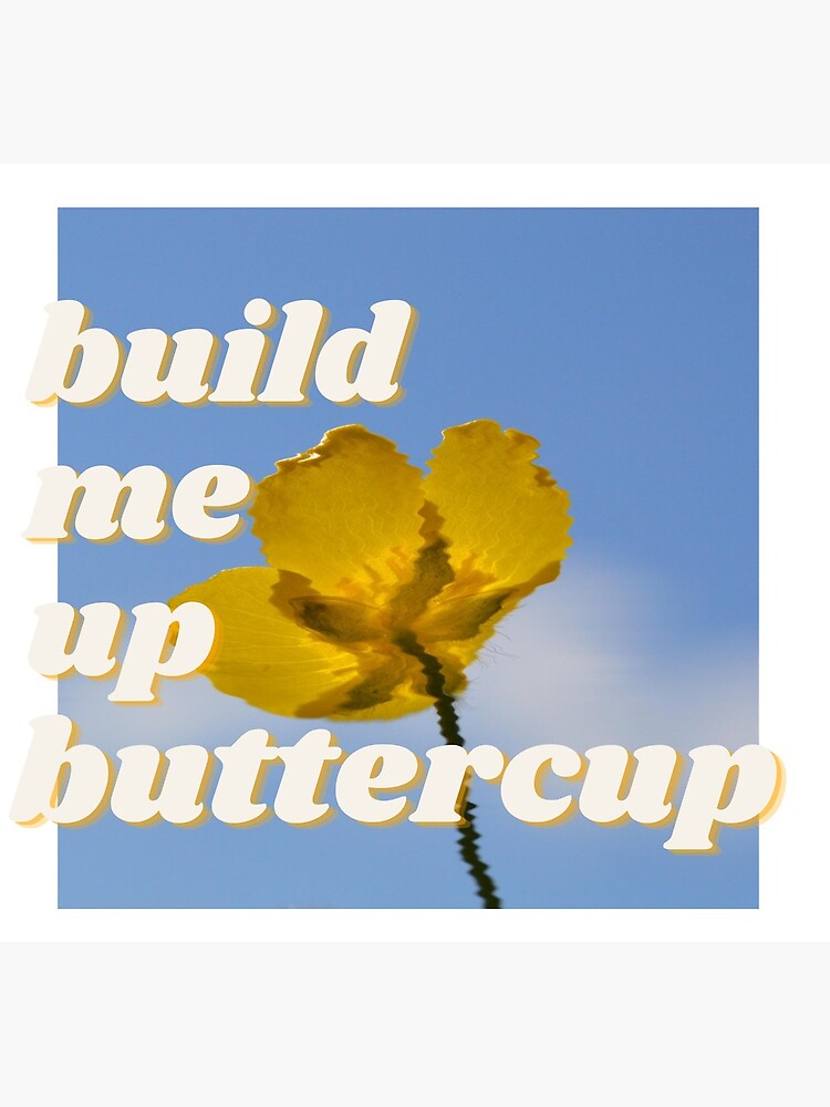 build me up buttercup cover