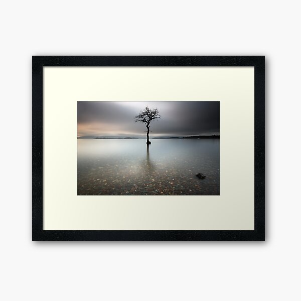 Item preview, Loch Lomond Tree designed and sold by Grant Glendinning.
