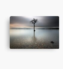 Loch Lomond Tree Canvas Print
