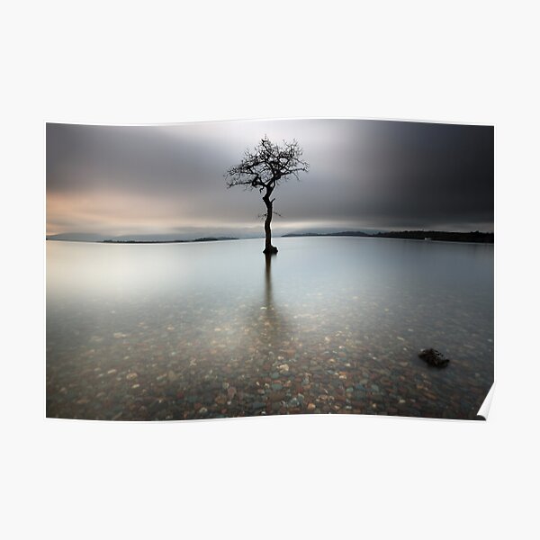 Loch Lomond Tree Poster