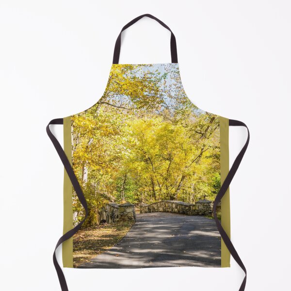 Item preview, Bridge To Golden Autumn designed and sold by mljdwhite.
