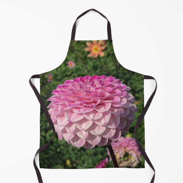 Artikelvorschau, Hellrosa bis helle Magenta-Ball-Dahlie im Blumengarten 037 entworfen und verkauft von Bees-n-Flowers.