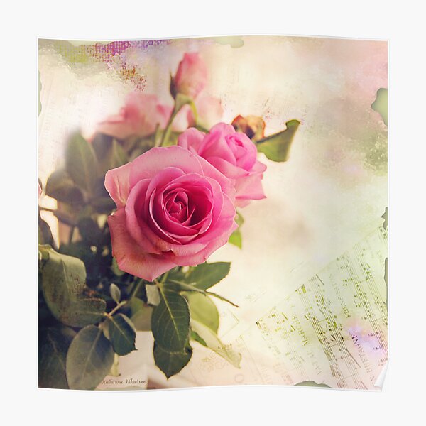 Valentine roses Poster