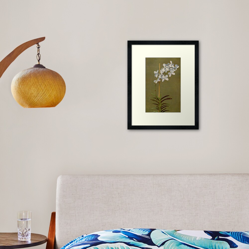 White Orchids Framed Art Print