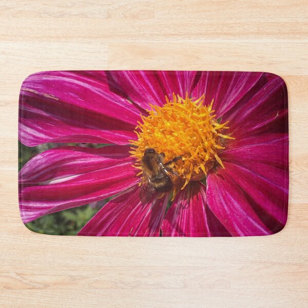 Artikelvorschau, Nahaufnahme einer einzelnen rosa Dahlienblume mit einer Biene, die Pollen vom Golden Disc Floret 039 sammelt entworfen und verkauft von Bees-n-Flowers.