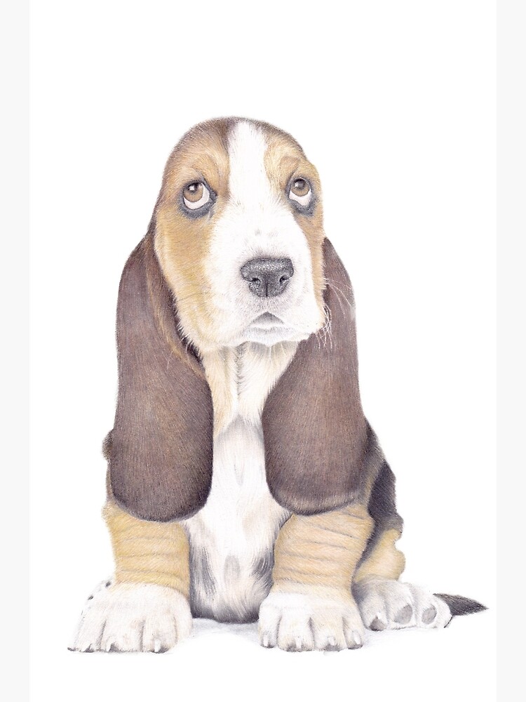 Puppy Drawing Watercolor Giclee Print, Realistic Dog Drawing, Home Decor,  Wall Art, Gift, Animal Art, Puppy Art, Hand Drawing By Jack Barth |  lupon.gov.ph