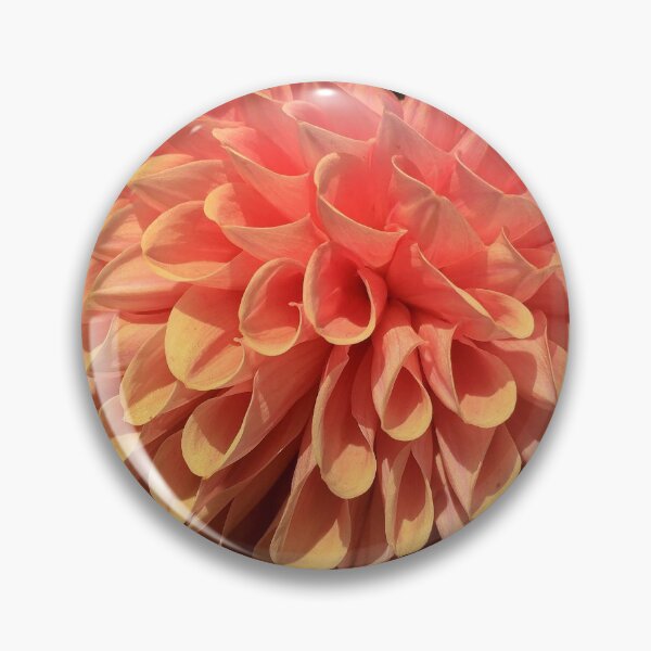 Item preview, Dusky Orange Fading into a Soft Pink Dahlia Cornel Bronze Flower. Beautiful Ball Petal Shape 040 designed and sold by Bees-n-Flowers.