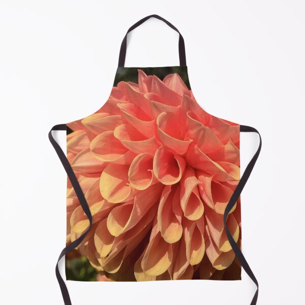 Item preview, Dusky Orange Fading into a Soft Pink Dahlia Cornel Bronze Flower. Beautiful Ball Petal Shape 040 designed and sold by Bees-n-Flowers.