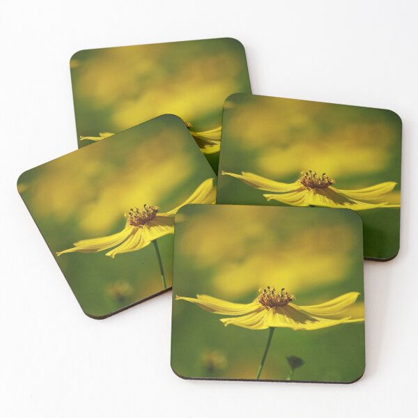 Item preview, Whorled tickseed 18 designed and sold by Jouko Lehto Photography.