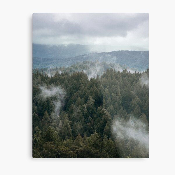 Misty Mountain Hop Metal Print