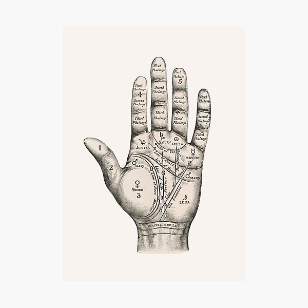 Item preview, Palmistry designed and sold by arisabi.