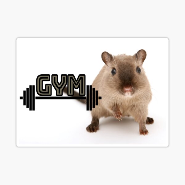 Gym rat Sticker for Sale by gabster69