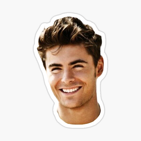 JTartstore Zac Efron Personalized design with zippered pillowcases20 x 30 inches 