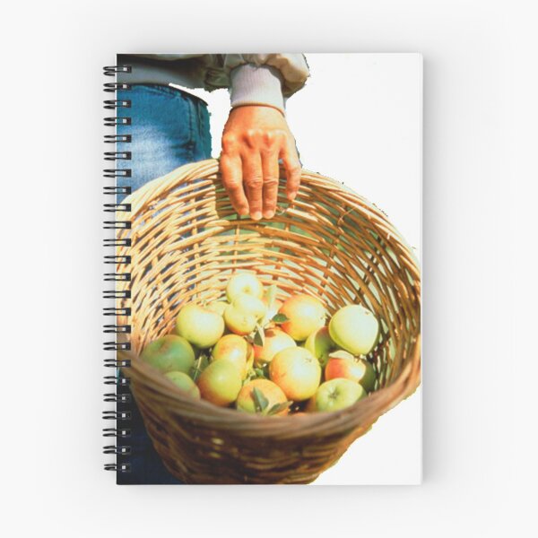 Item preview, Basket with fruits designed and sold by Gaspomumo.