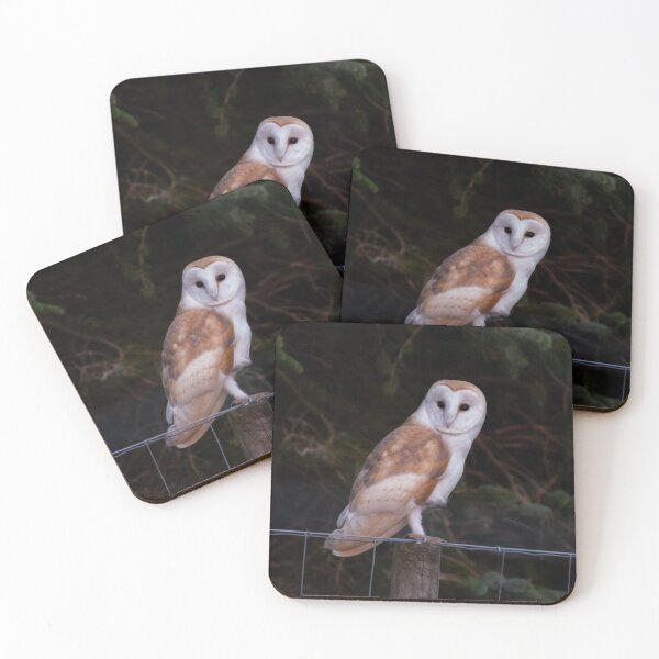 Item preview, barn owl designed and sold by tammy mellor.