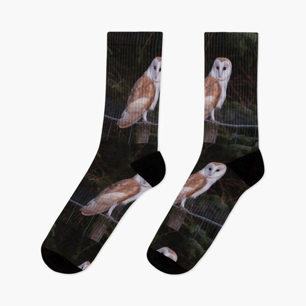 Item preview, barn owl designed and sold by tammy mellor.