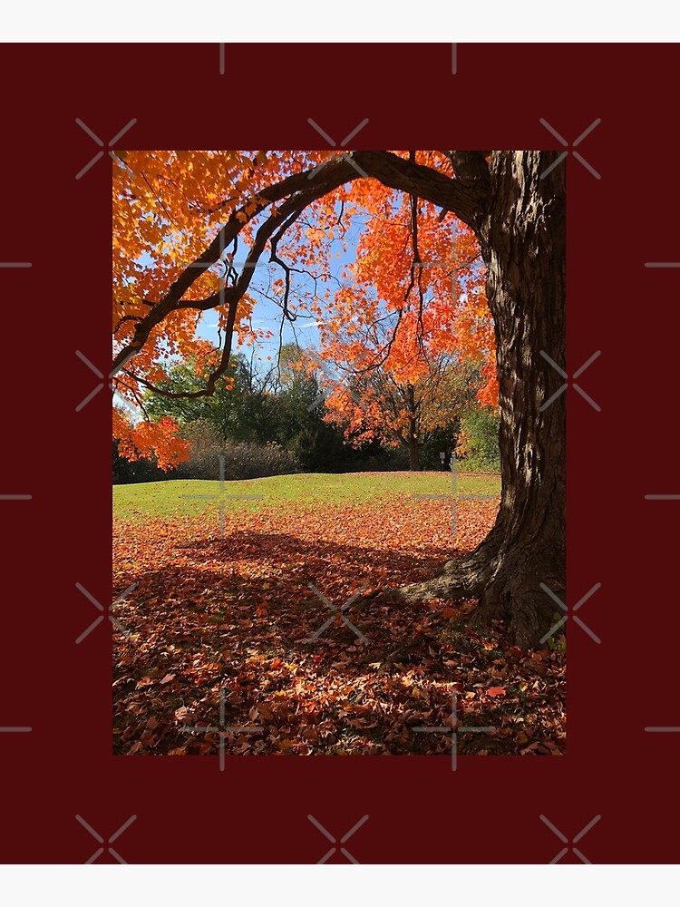 Orange tree, fall, fall colors, bathroom decor, by PicsByMi